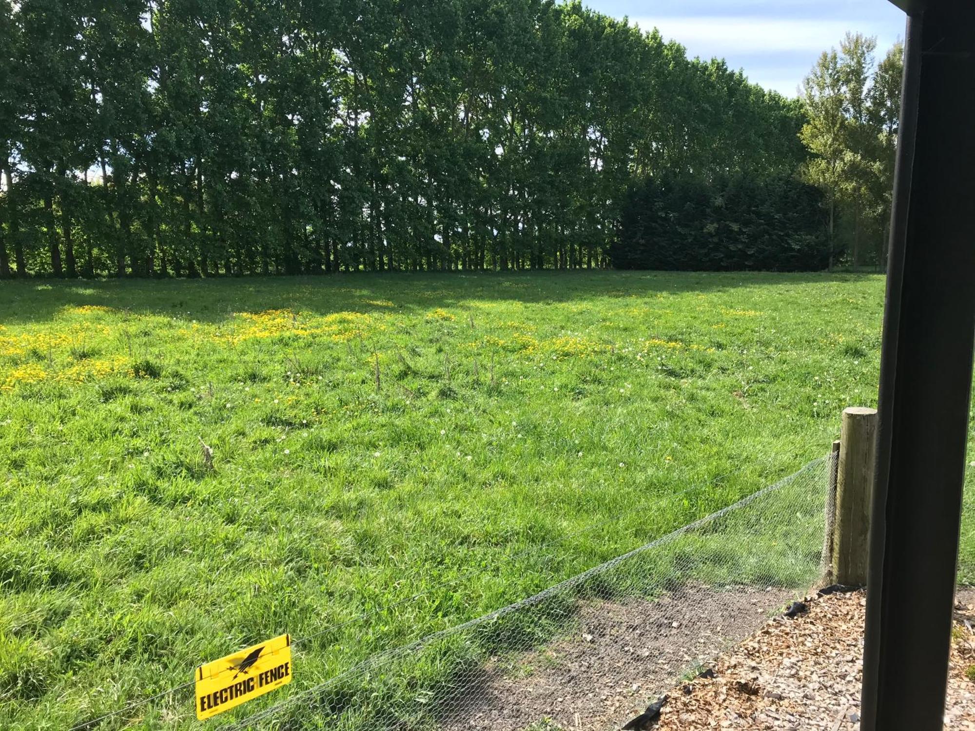 Brookside Country Escape 40 Minutes To Chc Airport Hotell Leeston Exteriör bild