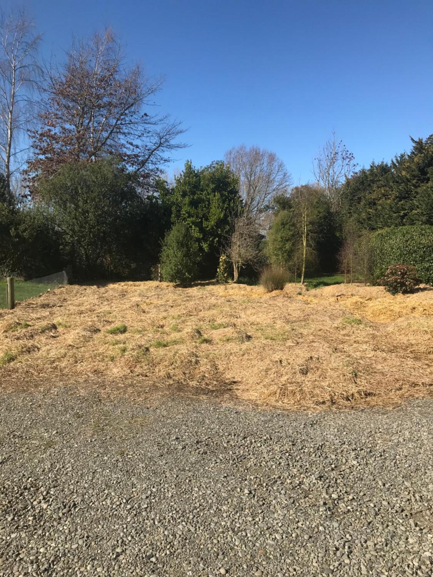 Brookside Country Escape 40 Minutes To Chc Airport Hotell Leeston Exteriör bild