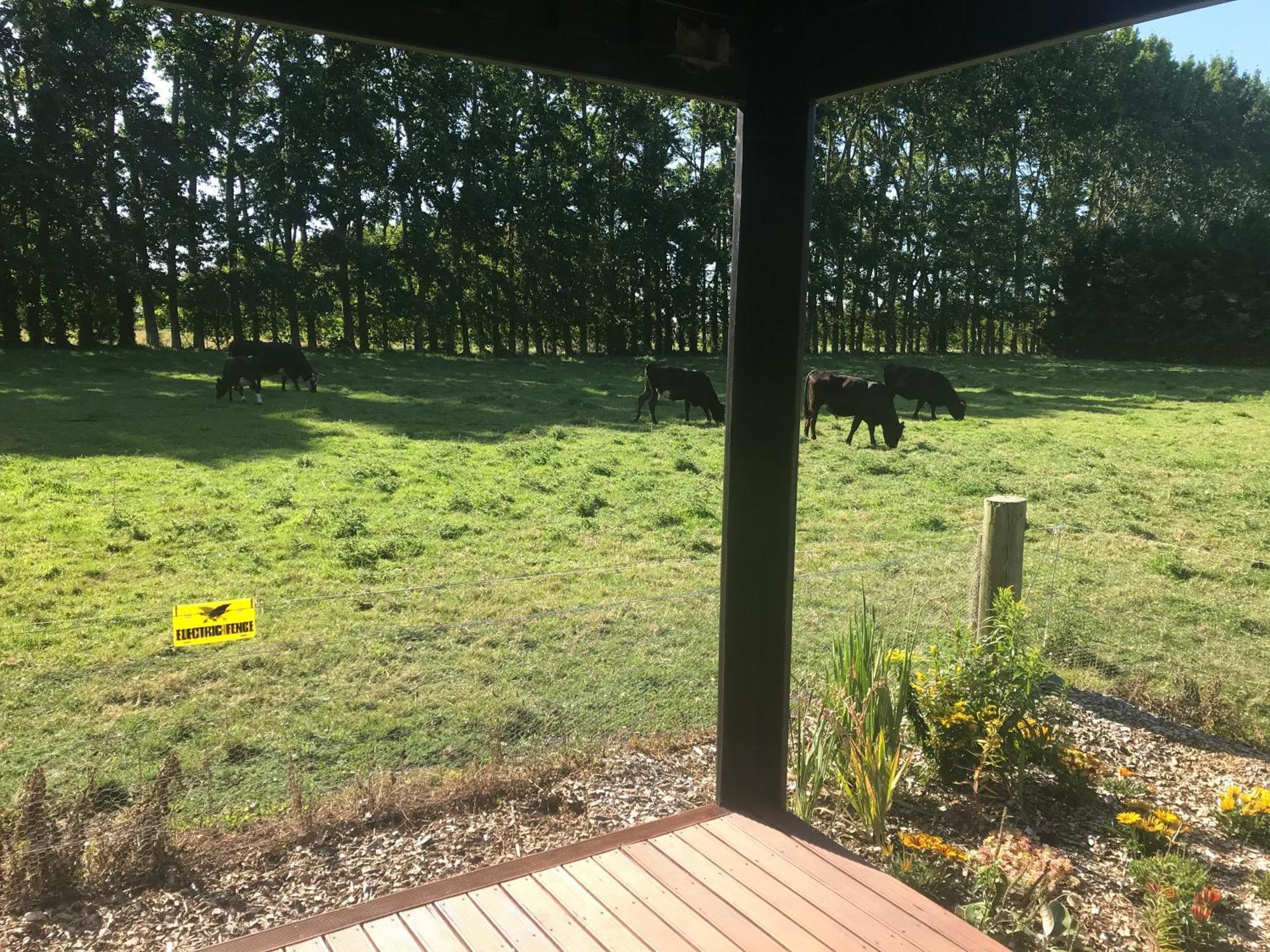 Brookside Country Escape 40 Minutes To Chc Airport Hotell Leeston Exteriör bild